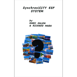 (image for) SynchroniCity ESP system by by Richard Mark & Mark Salem - Trick