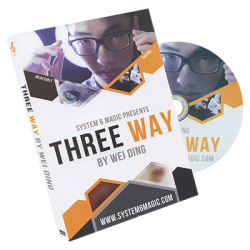 (image for) Three Way by Wei Ding & system 6 - DVD