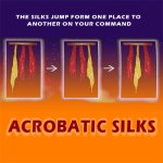 (image for) Acrobatic Silks by Uday - Trick