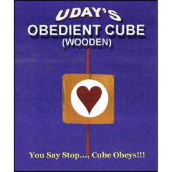 (image for) Obedient Cube in Wood by Uday - Trick
