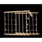 (image for) Vanishing Bird Cage by Uday - Trick