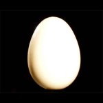 (image for) Wooden Egg by Uday - Trick