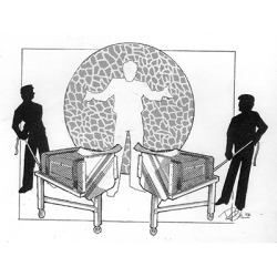 (image for) Wakeling Sawing Illusion Plans by Illusion Systems - Tricks