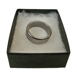 (image for) Wizard PK Ring Original (FLAT, SILVER, 16mm) by World Magic Shop - Trick