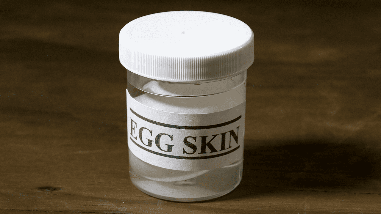 (image for) Egg Skin by The Great Gorgonzola - Trick