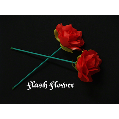 (image for) Red Flash Flower (2pk.) - by GD Wu & GT magicstore - Trick - Click Image to Close