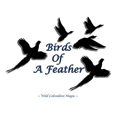 (image for) Birds Of A Feather by Wild-Colombini - Trick - Click Image to Close