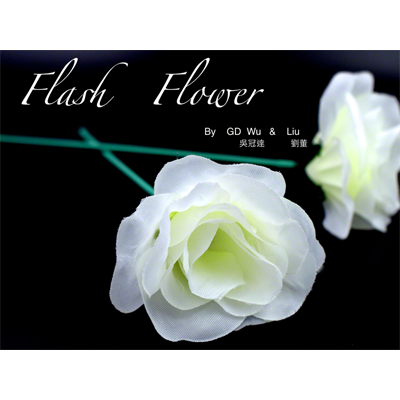 (image for) White Flash Flower (2pk.) - by GD Wu & GT magicstore - Trick - Click Image to Close