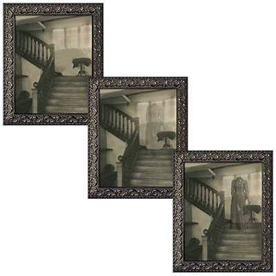 (image for) Changing Portrait - Mother's Revenge (8x10) by Eddie Allen - Trick - Click Image to Close