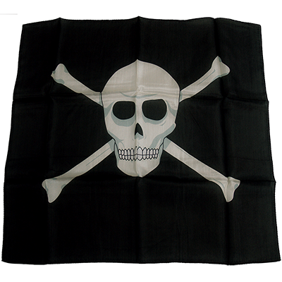 (image for) 18 inch Skull Silk by Magic By Gosh - Click Image to Close