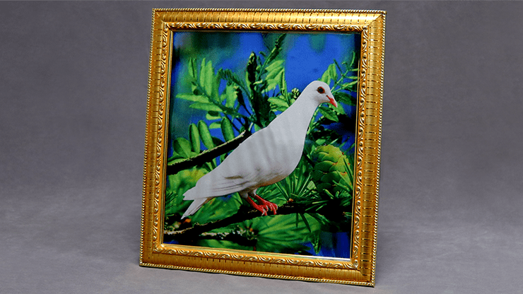 (image for) Dove Frame (Photo) by Mr. Magic - Trick - Click Image to Close