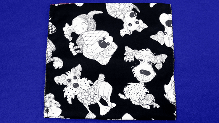 (image for) The Double Zipper Gag Bag by Ickle Pickle - Tricks - Click Image to Close