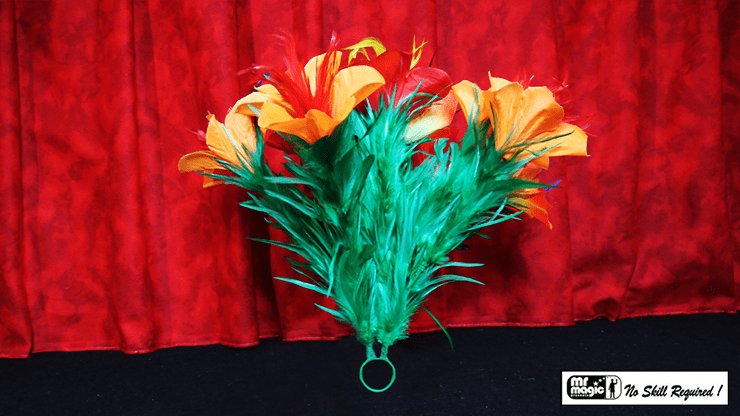 (image for) Classic Sleeve Bouquet Pair (6) Deluxe by Mr. Magic - Trick - Click Image to Close