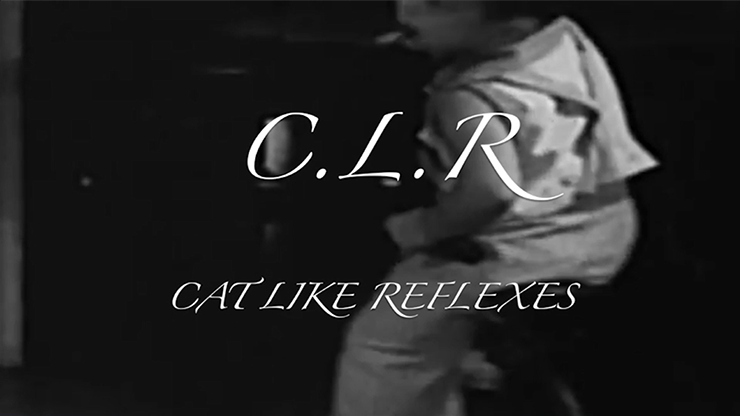 (image for) CLR by Dan Hauss video DOWNLOAD - Click Image to Close