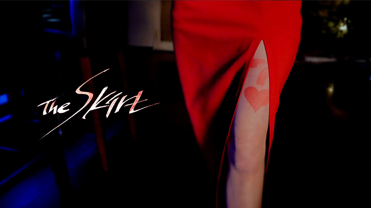 (image for) The Skirt by Nimble Mind - DVD - Click Image to Close