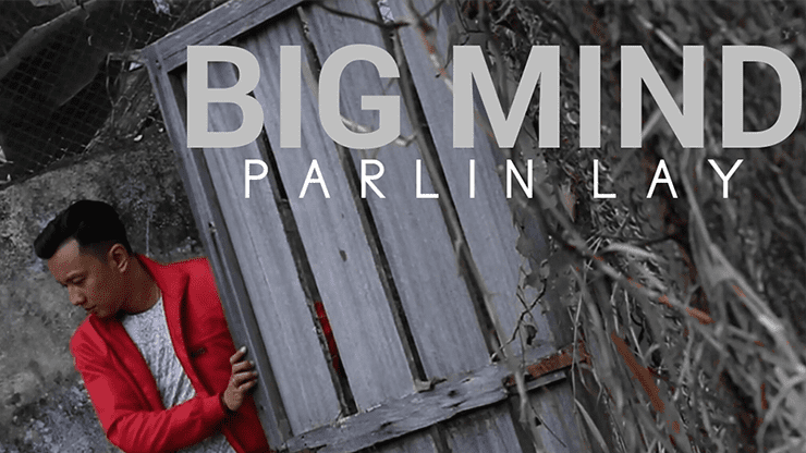 (image for) Big Mind by Parlin Lay video DOWNLOAD - Click Image to Close