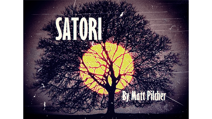 (image for) SATORI by Matt Pilcher video DOWNLOAD - Click Image to Close