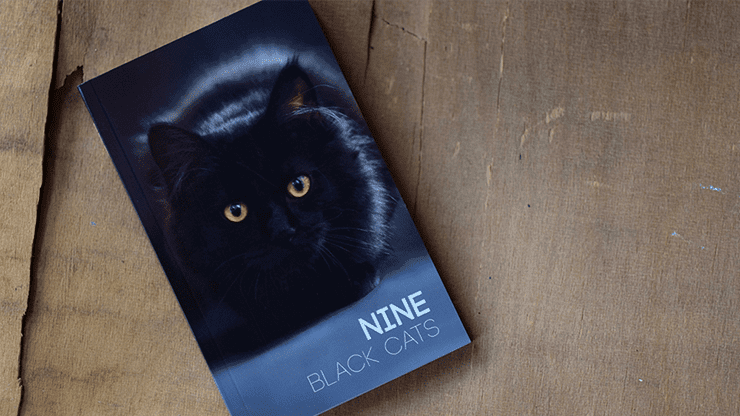 (image for) Nine Black Cats by Neemdog and Lorenzo - Book - Click Image to Close