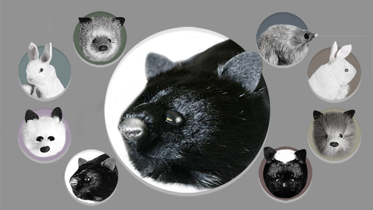 (image for) Black Fox Spring Animal by Magic Masters - Trick - Click Image to Close