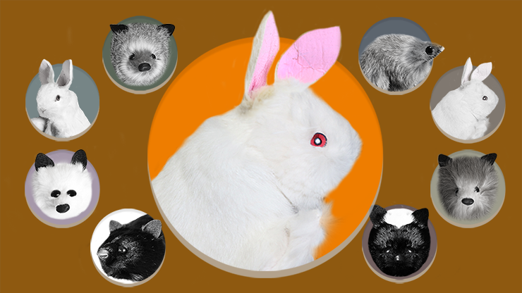 (image for) Rabbit Hand Puppet by Magic Masters - Trick - Click Image to Close