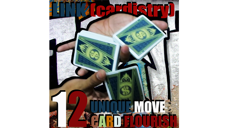 (image for) LINK (Cardistry Project) by SaysevenT video DOWNLOAD - Click Image to Close