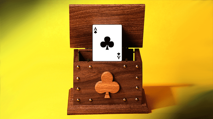 (image for) CARD IN THE AIR by Tora Magic - Click Image to Close