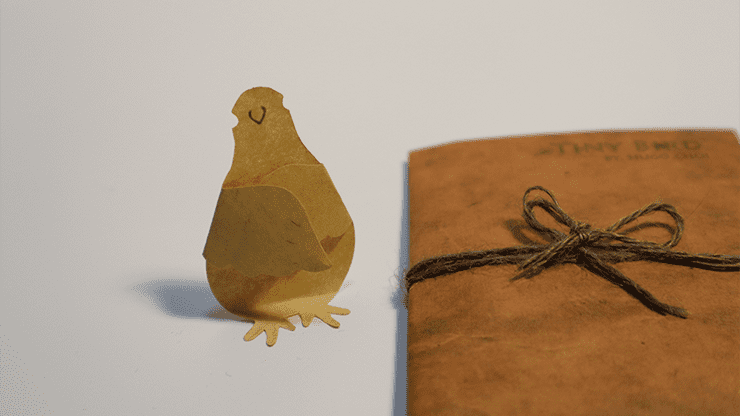 (image for) Tiny Bird (Gimmick and Online Instructions) by Hugo Choi - Trick - Click Image to Close