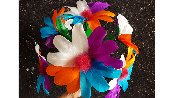 (image for) Alis Flower by Black Magic - Trick - Click Image to Close