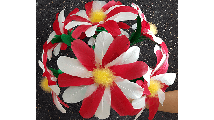 (image for) Diyana FLower by Black Magic - Trick - Click Image to Close
