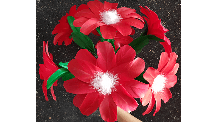 (image for) Red Flower by Black Magic - Trick - Click Image to Close