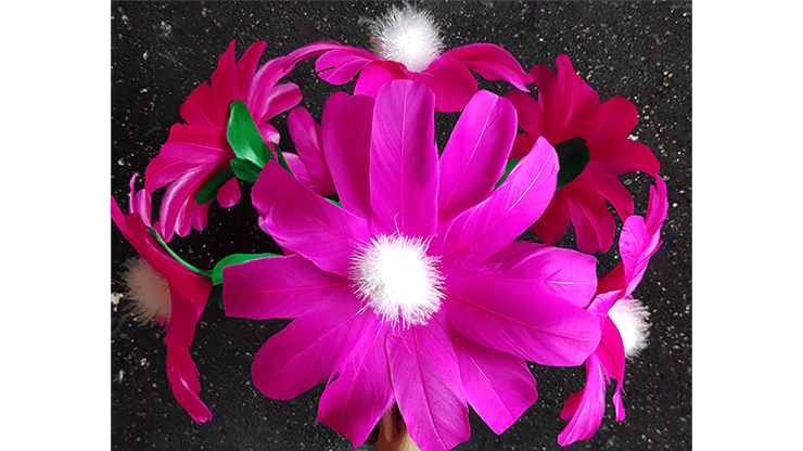(image for) Violet Flower (No.2) by Black Magic - Trick - Click Image to Close