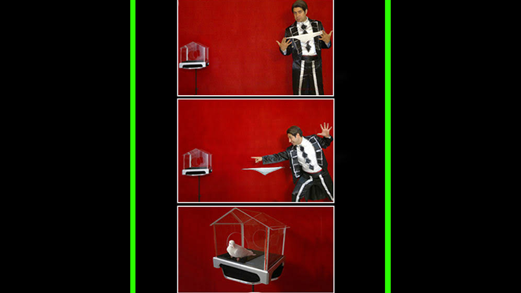 (image for) Flying Hank to Dove by Black Magic - Trick - Click Image to Close