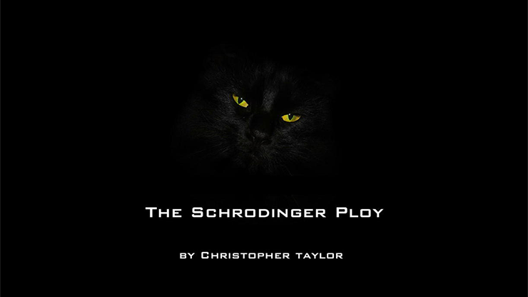 (image for) The Schrodinger Ploy by Christopher Taylor video DOWNLOAD - Click Image to Close