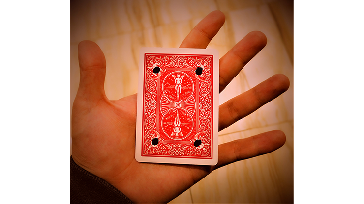 (image for) Hallucination by Sultan Orazaly video DOWNLOAD