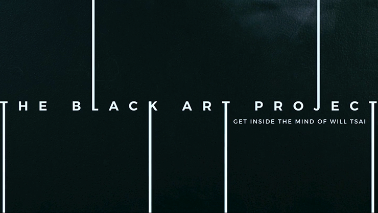(image for) Black Art Project (2 DVD Set) by SansMinds- DVD - Click Image to Close