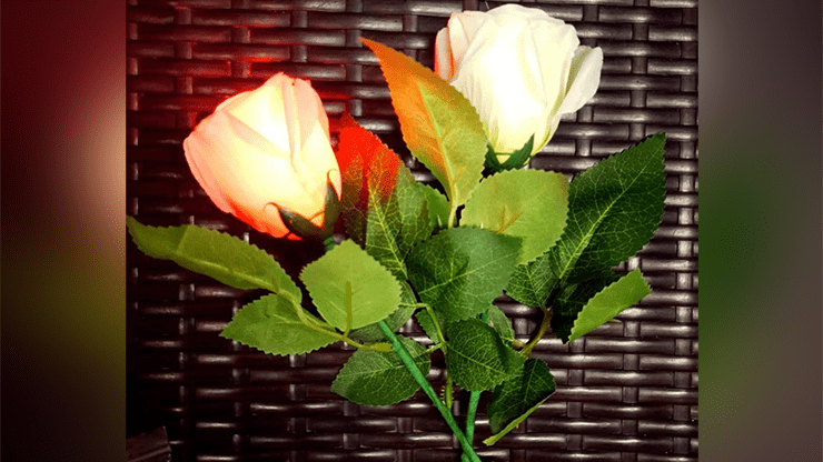(image for) Rose Light set RED by JL Magic - Trick