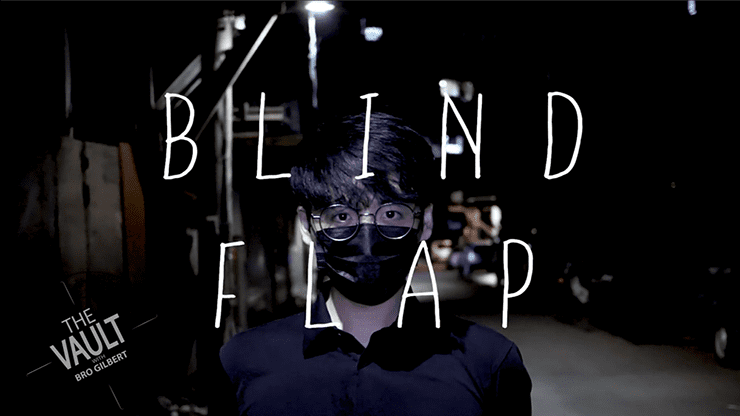 (image for) The Vault - Blind Flap Project by PH and Mario Tarasini video DOWNLOAD - Click Image to Close