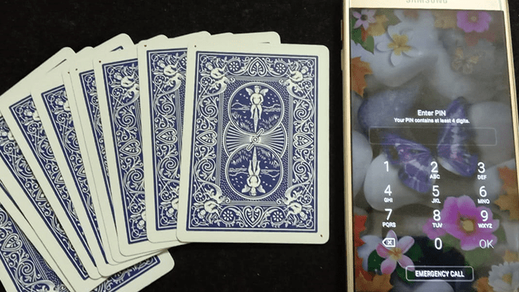 (image for) P.I.N. by Dibya Guha video DOWNLOAD