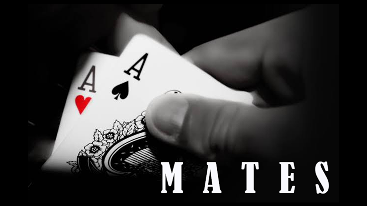 (image for) MATES by Dibya Guha mixed media DOWNLOAD