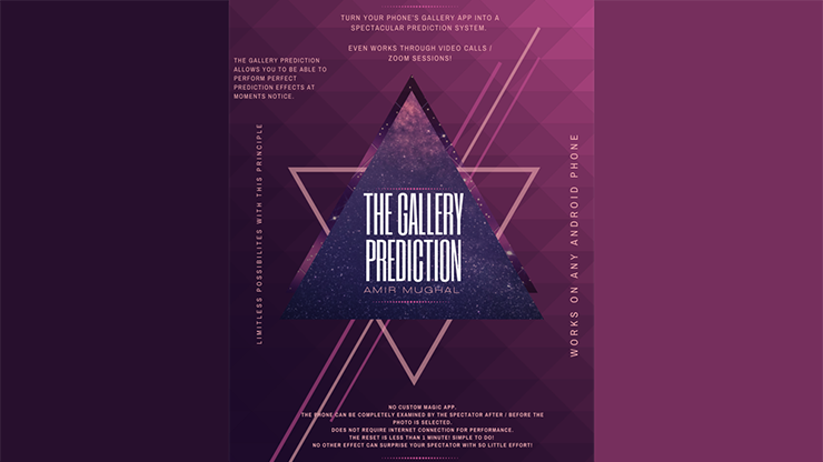 (image for) The Gallery Prediction by Amir Mugha video DOWNLOAD - Click Image to Close