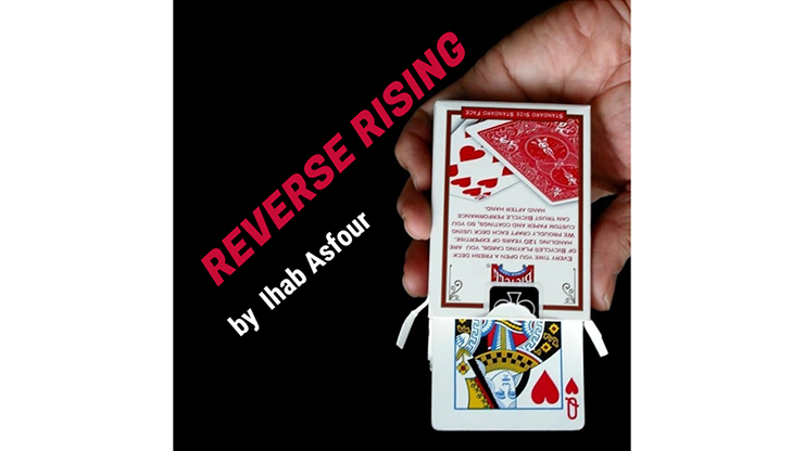 (image for) Mario Tarasini presents: Reverse Rising by Ihab Asfour - video DOWNLOAD - Click Image to Close