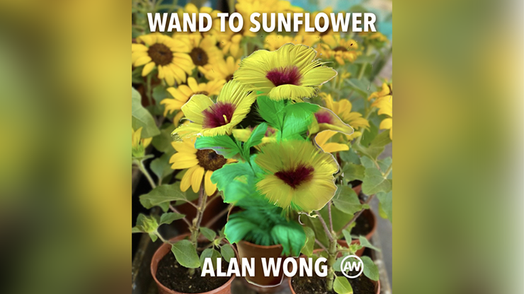 (image for) WAND TO SUNFLOWER LARGE by Alan Wong - Trick - Click Image to Close