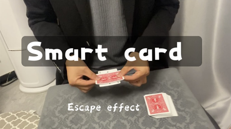 (image for) Smart Card by Dingding video DOWNLOAD - Click Image to Close