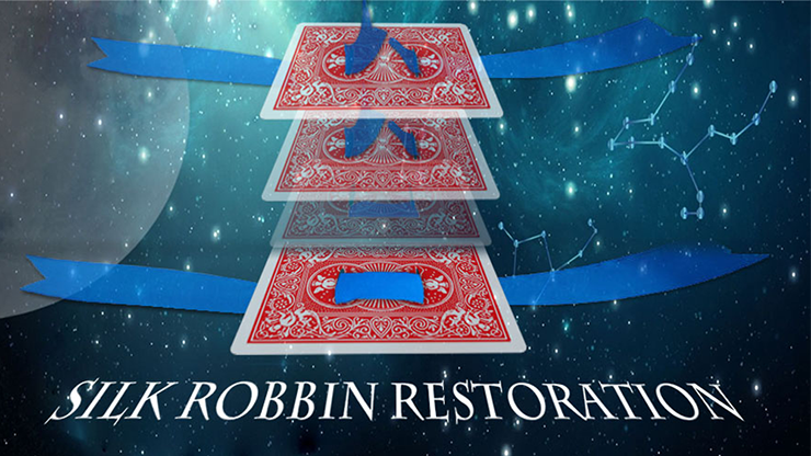 (image for) Silk Restoration by Dinging video DOWNLOAD