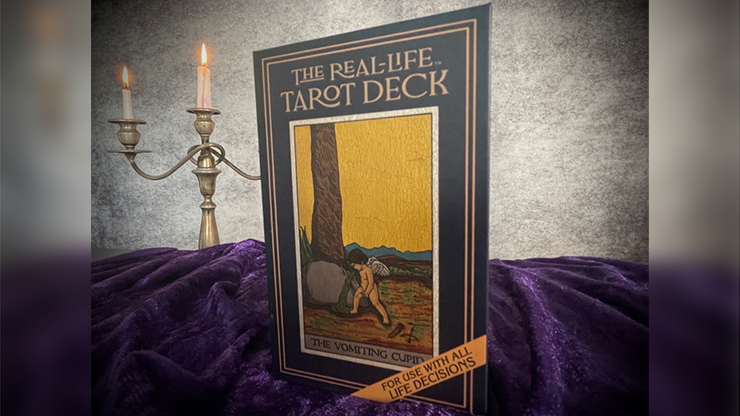 (image for) The Real-Life Tarot Deck by David Regal - Click Image to Close