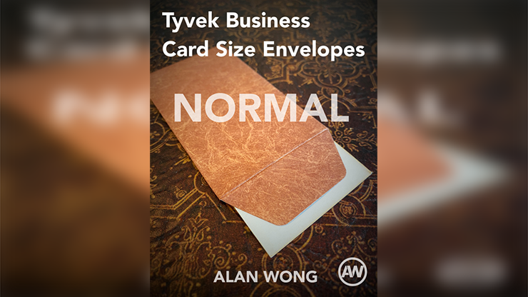 (image for) Tyvek Business Card Size Envelopes (10 pk.) by Alan Wong - Click Image to Close