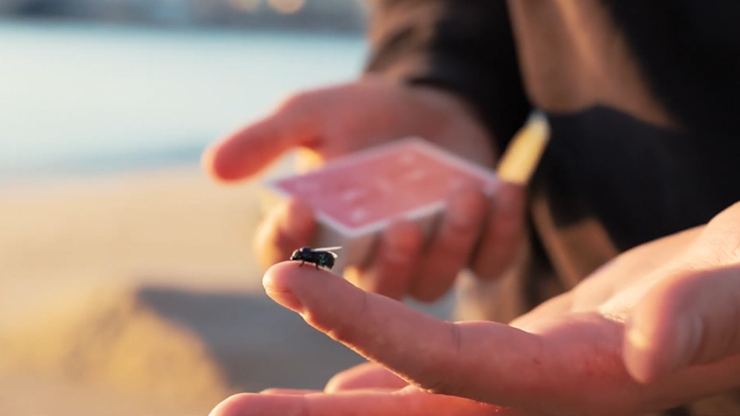 (image for) The FLY LITE by Marcos Waldemar & Invisible Compass - Click Image to Close