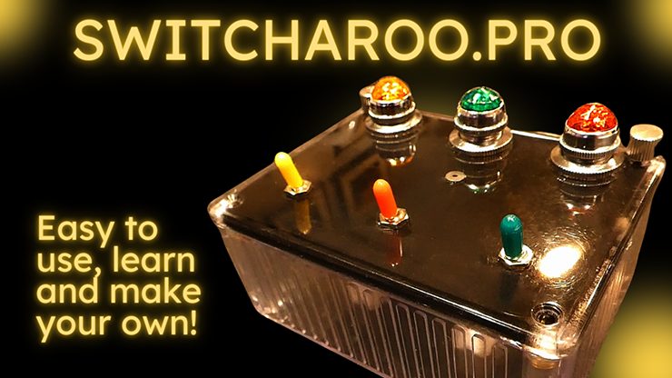 (image for) Switcharoo by Mitch Geier - Click Image to Close