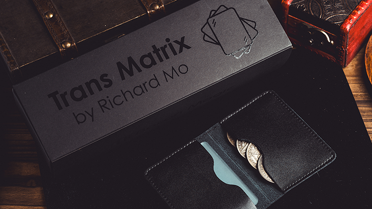 (image for) Transparent Matrix (Half Dollar) 2024 by Richard Mo