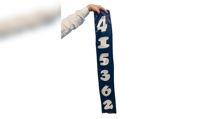 (image for) Jumbled Numbers by The Essel Magic